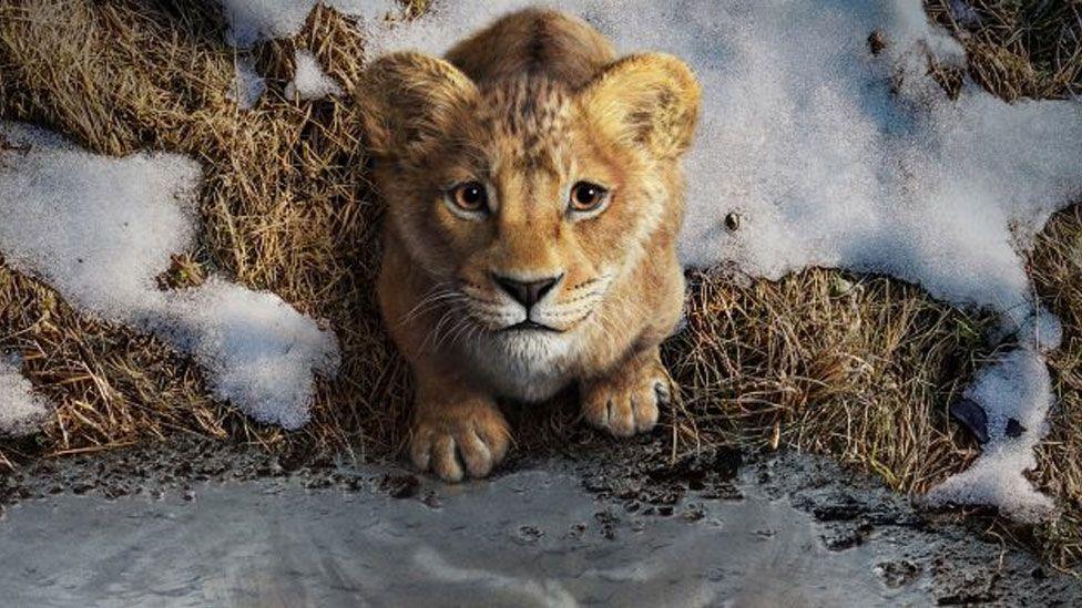 Lion Cub in the snow taken from the trailer for Mufasa: The Lion King