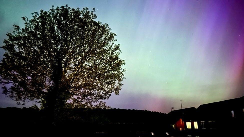 A tree and house in the foreground with the Northern Lights overhead in captured this shot in  Sunbury-on-Thames