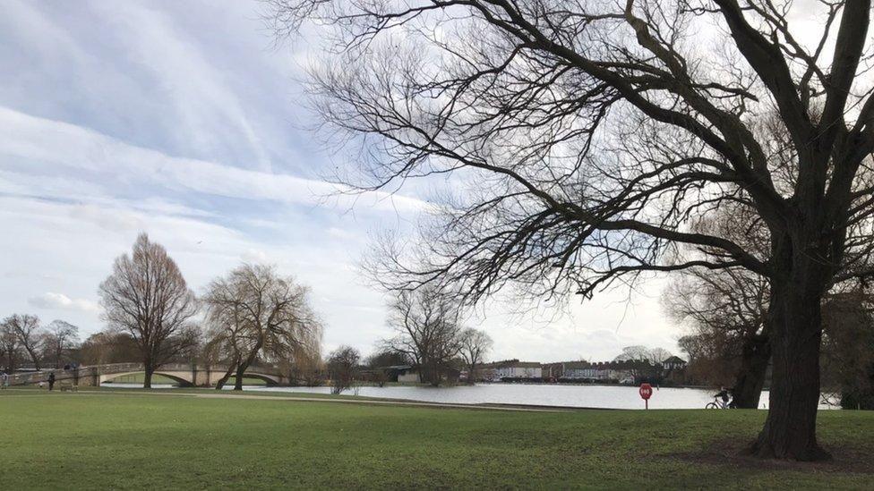 A landscape shot of East Park. There is a huge tree on the right, which is towering above smaller trees and a lake that is in the distance beyond a lawned flat space.