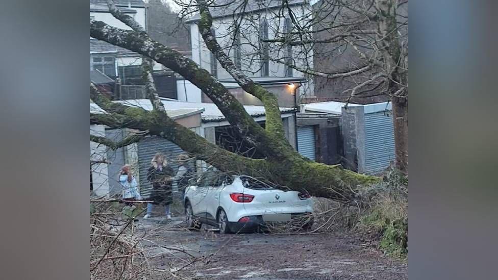 A white car crushed by a falling tree, as three people stand around speaking