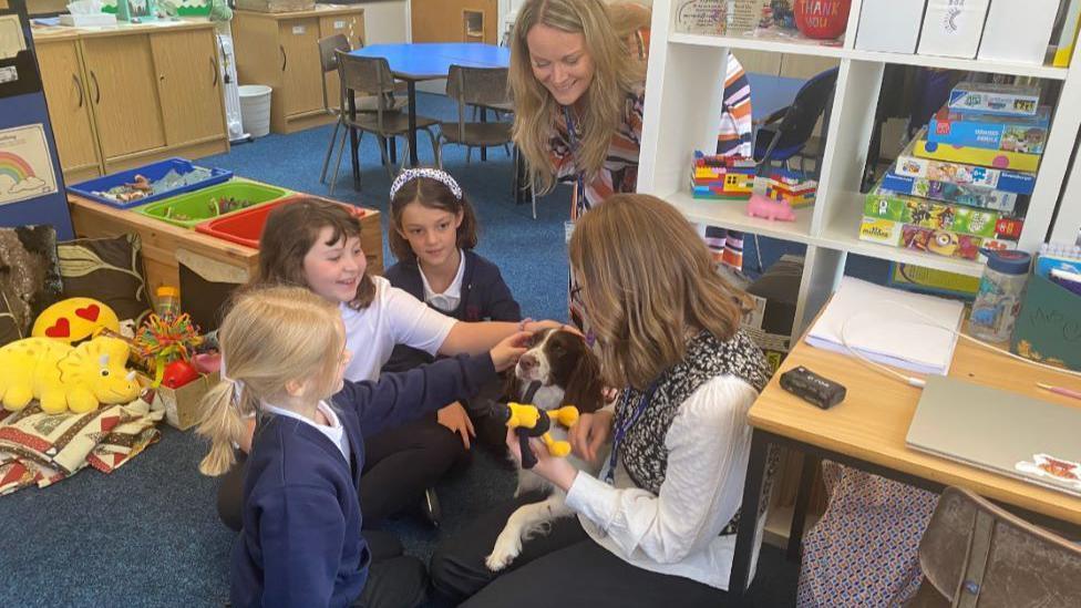 Pupils and teachers petting Maya and giving her a yellow and black toy to play with in a classroom