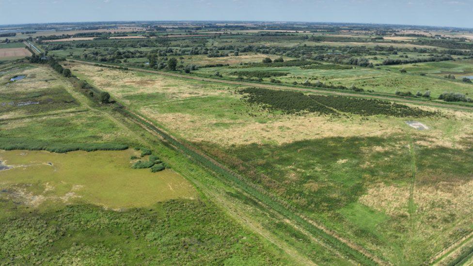 Burwell Fen before peat restoration work. It is a flat and green landscape during the summer. Trees and sky can be seen in the distance. 