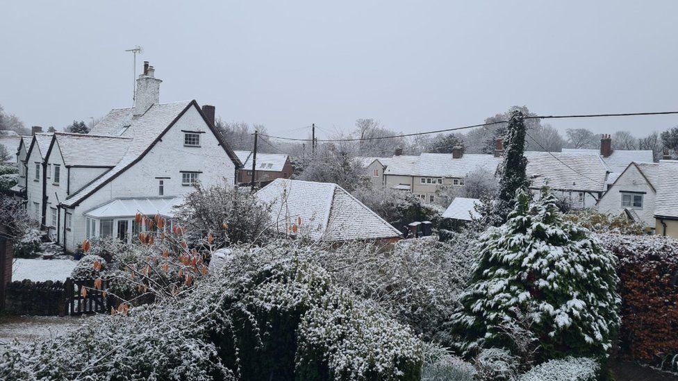 Rooftops, trees and hedges dusted with snow