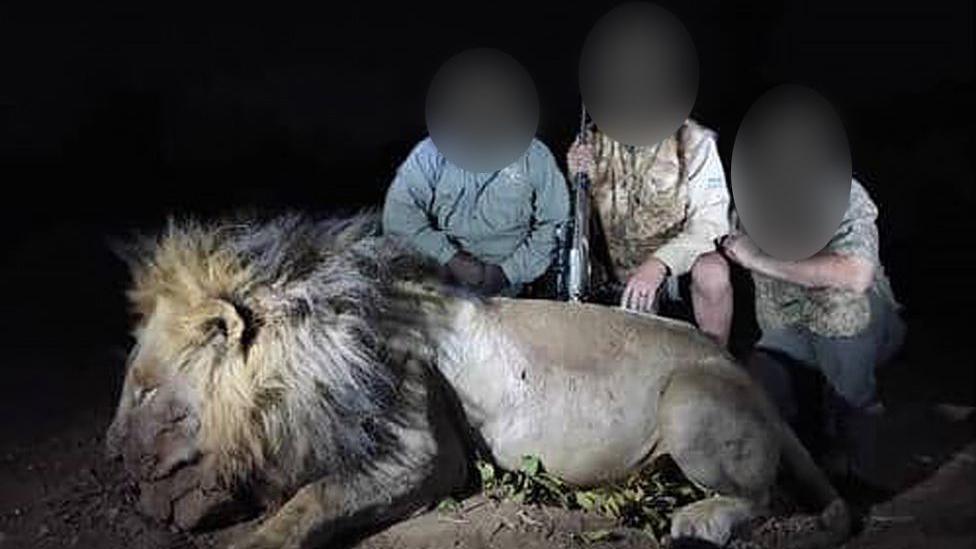 Three hunters stand behind a large, deceased lion in the dark.