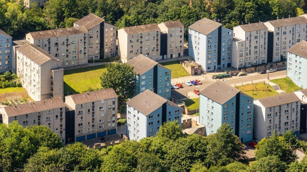 A general view of multi-storey flats surrounded by trees and green spaces. 