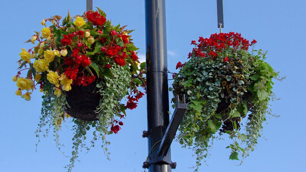 Hanging baskets