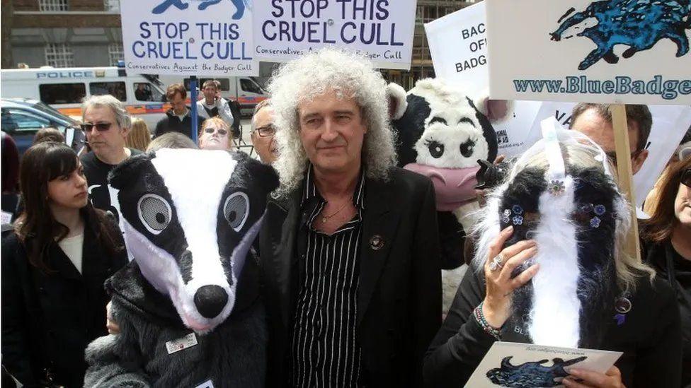 Brian May mewn protest yn erbyn difa moch daear yn Llundain yn 2013