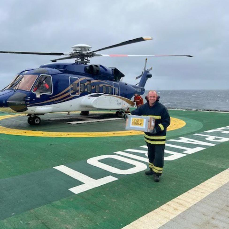 Offshore worker holding a 'live bird' box on an offshore platform next to a helicopter, with word 'platform' is written in bold white letters on the deck.