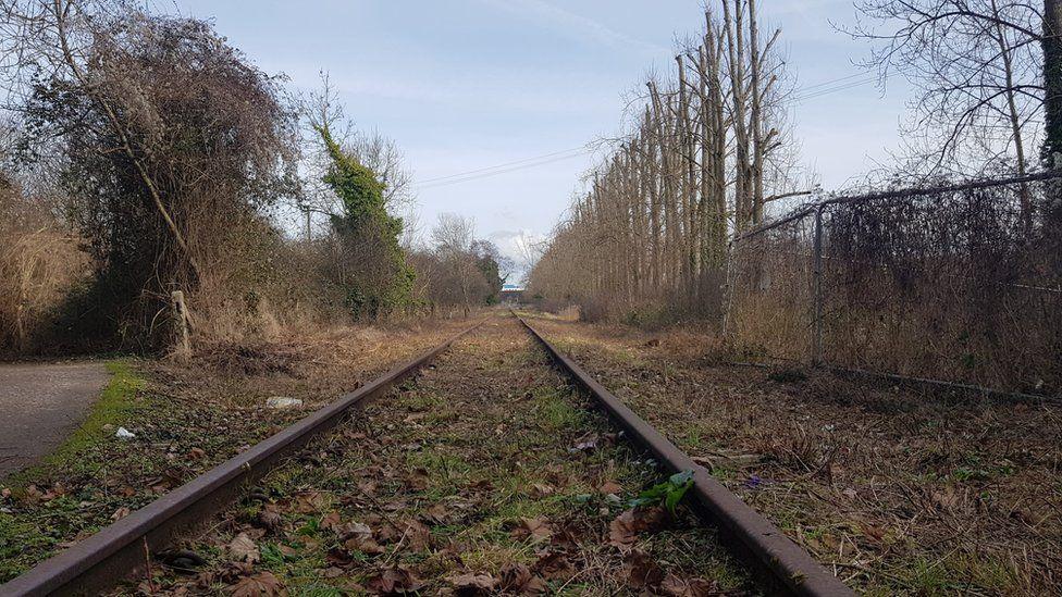 The closed railway line captured from on the tracks. It is overgrown with leaves and grass on a winters day with bare trees lined either side of it