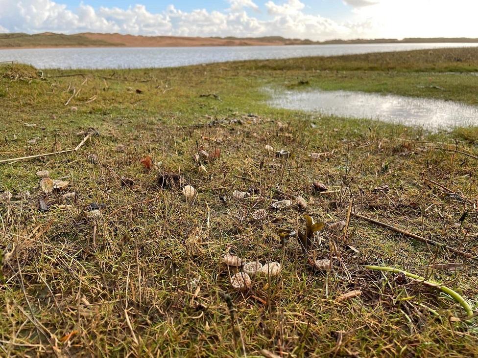 Plastic biomedia filters found at Newburgh