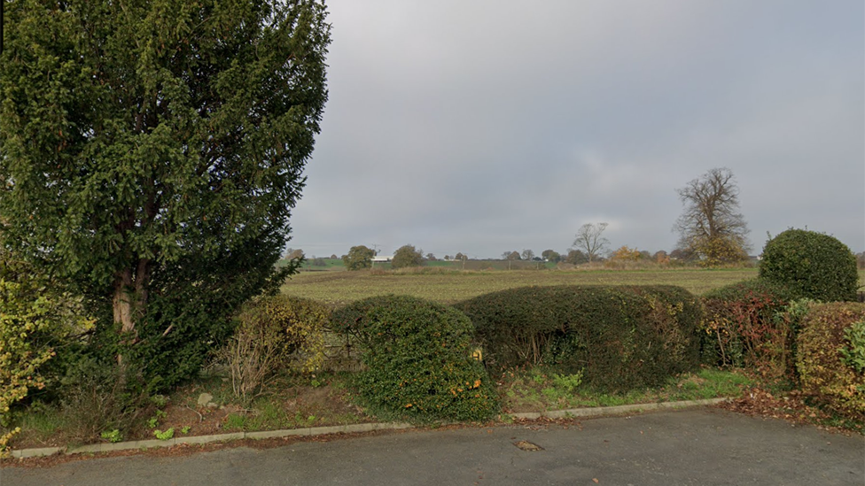 A large field with green brushes and sparse trees in the background 