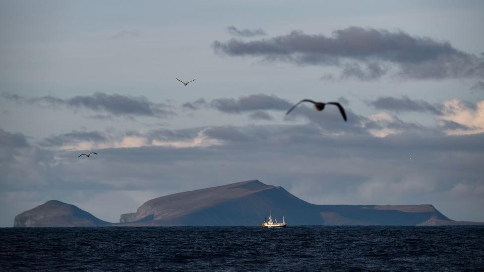 Fishing boat in the sea with an island behind it, gulls flying in the foreground.