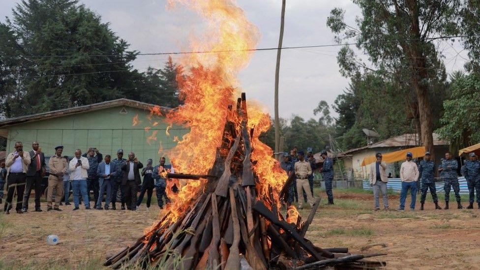 Illegal guns are burnt in Ethiopia at the Kolfe Police Training Camp on 7 June.