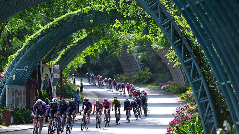 A group of cyclists races along a sunlit road lined with lush greenery and colorful flowers, passing under decorative metal arches covered in vines.