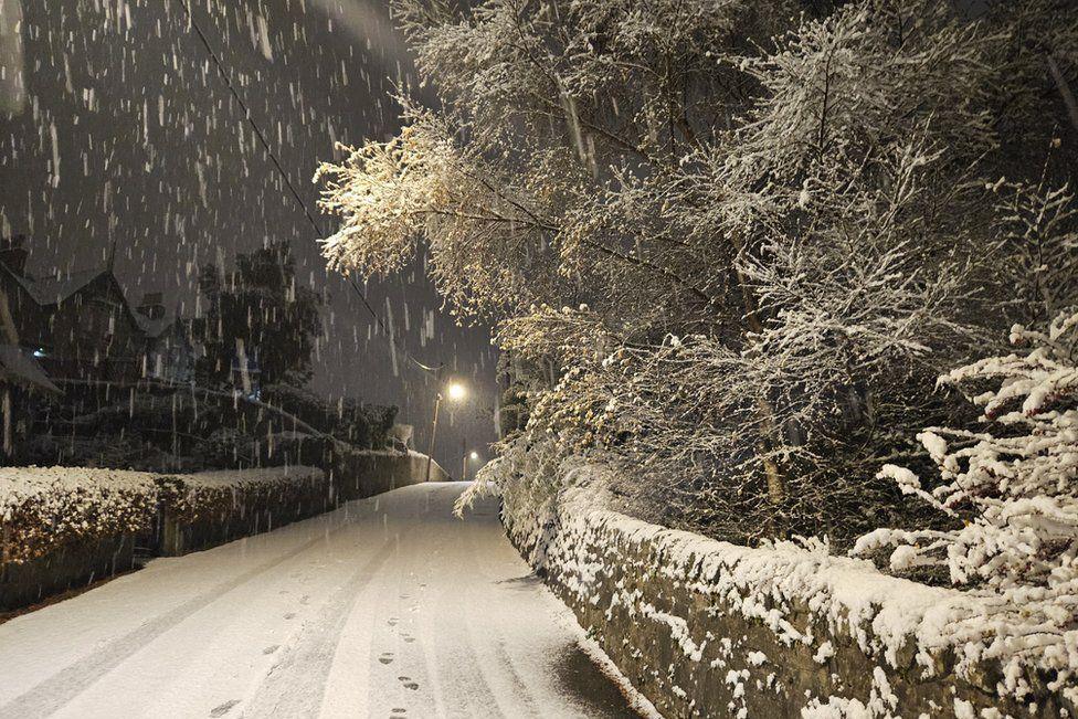 The road is covered in snow. The sky is dark and trees behind a wall, which are covered in snow, are illuminated by a street light.