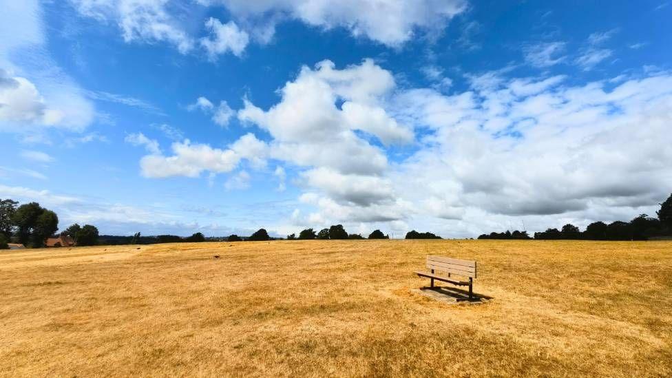 Parched land is seen on a field, with a bench in the middle