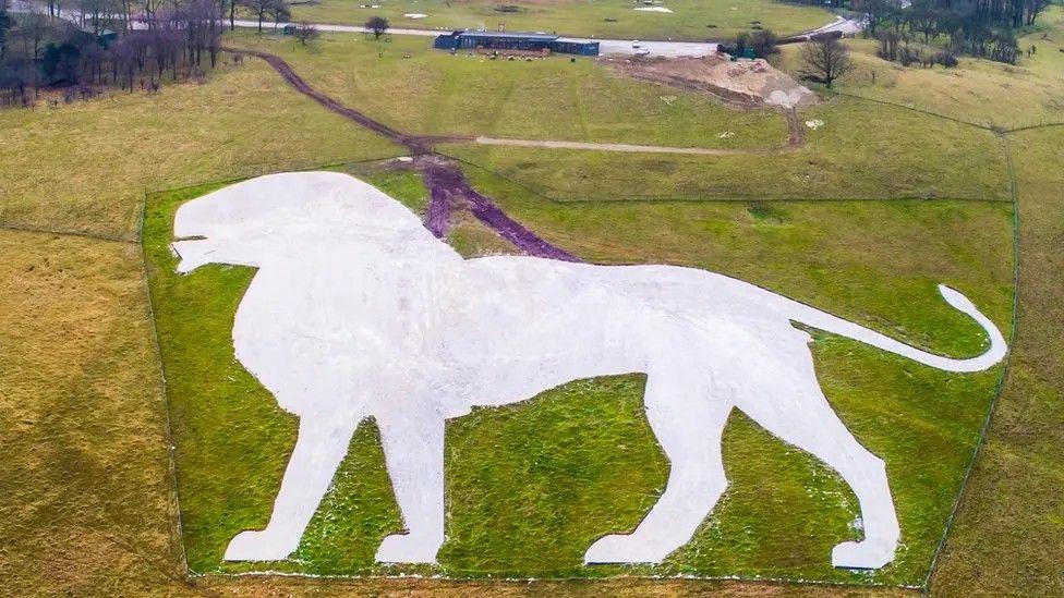 White chalk lion on a green hillside