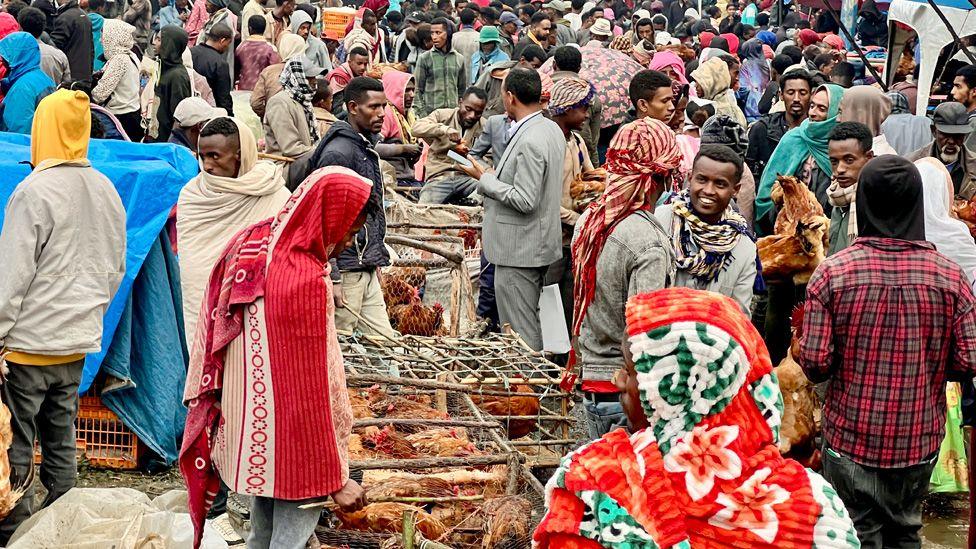 Vendors and customers crowd around chickens being kept in wooden cages in a market in Addis Ababa, Ethiopia - Wednesday 10 September 2025.