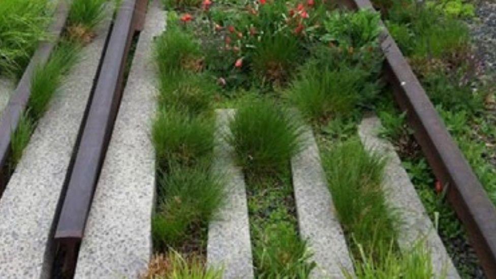 Long concrete and metal sleepers planted with greenery and resembling long railway tracks