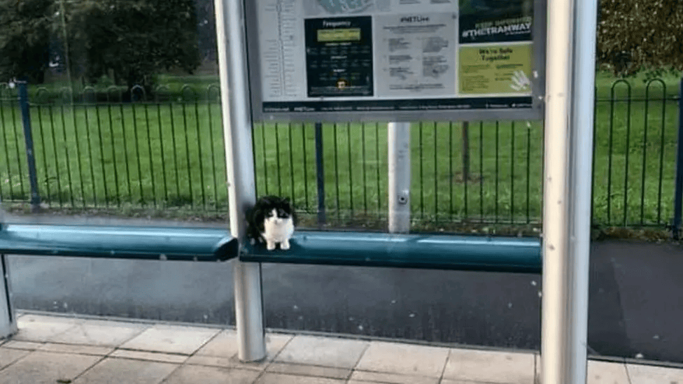 Benton sat at the Inham Road tram stop, ready to meet people.