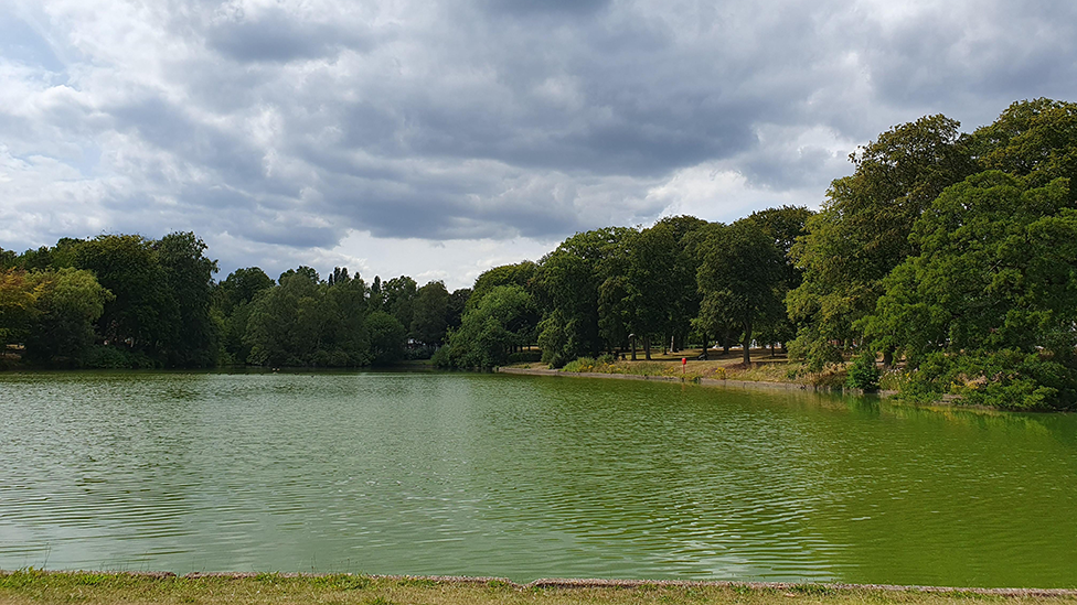 A large pool, fringed with grass in the foreground and thick trees in the background