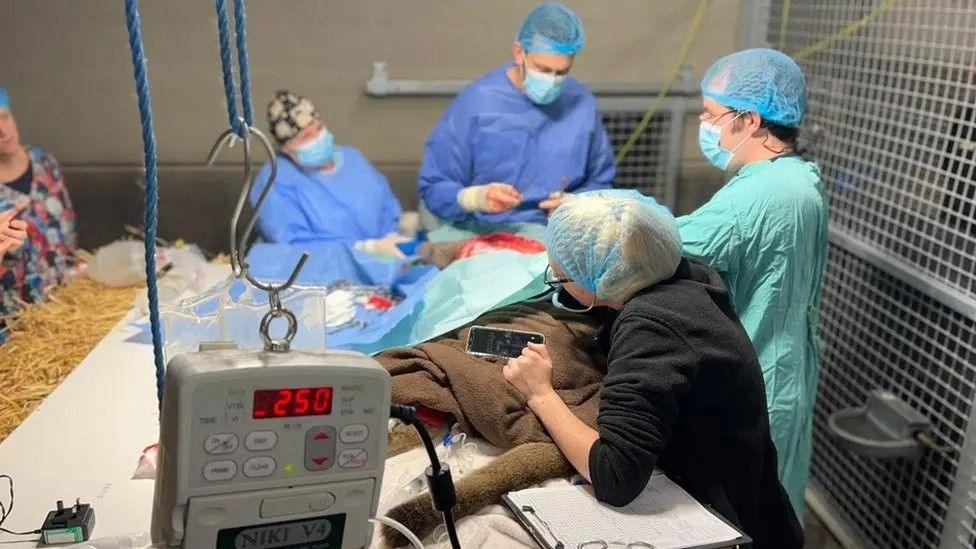 People in medical gowns and masks standing round an operating table. There is some electronic equipment in the foreground.