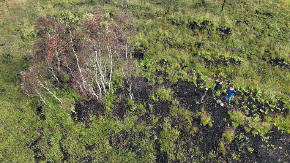 Aerial image of fire damage at Cannich