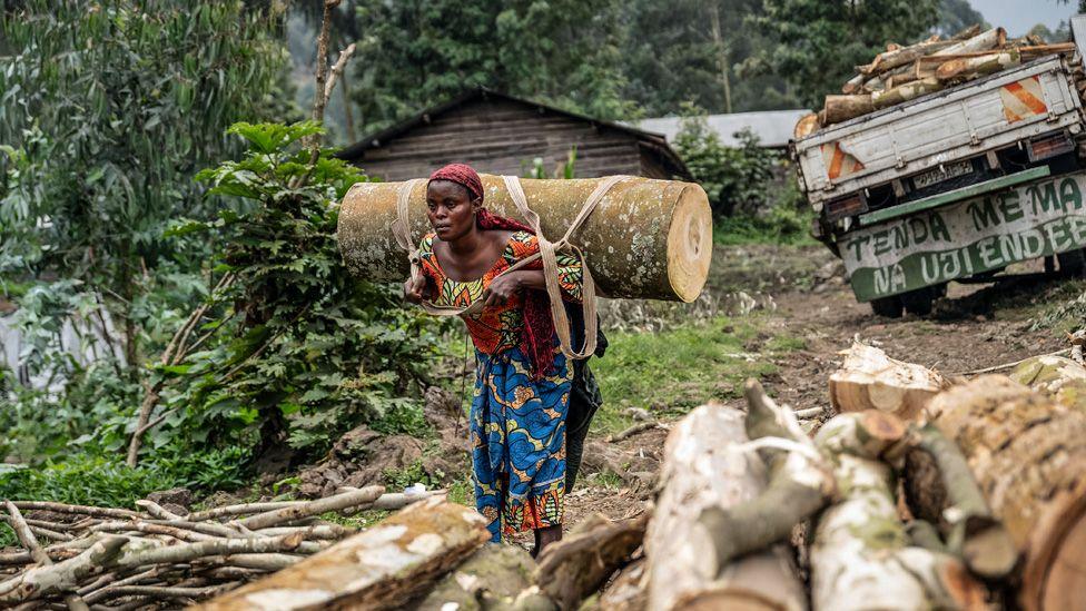 A woman, wearing colourful print wraps, carries a massive log on her back through a clearing in Kibumba, DR Congo. Piles of logs are in front of her and behind a truck stacked with wood - Thursday 28 August 2025.
