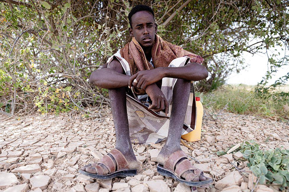 A man sits under a tree on parched earth