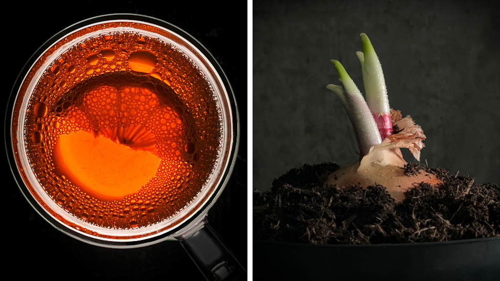 On the left is a birdseye view of a mug with an orange liquid and a slice of lemon in it. On the right is a picture of a pot with soil with the shoots of an onion poking up above the soil.