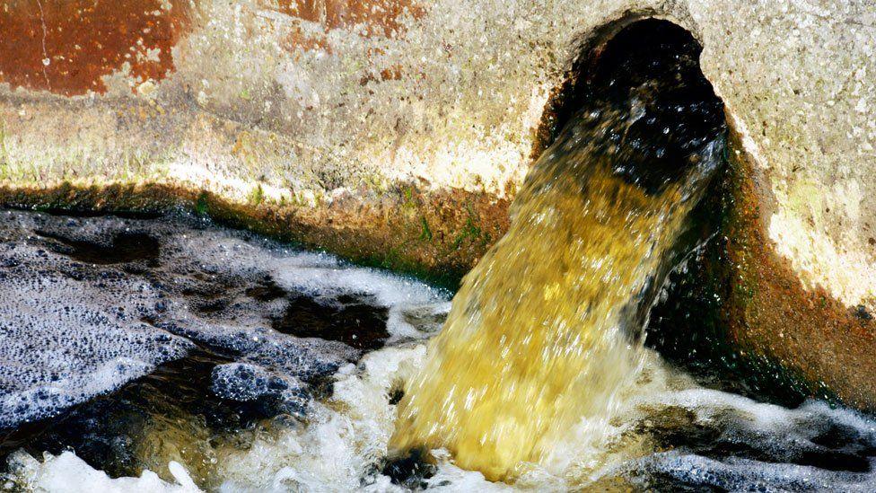 Water gushes from a pipe into watercourse