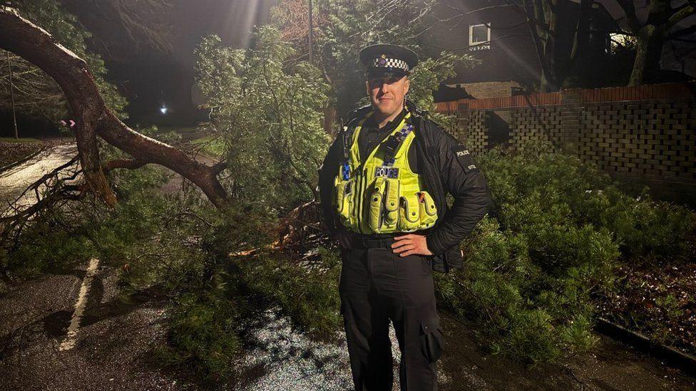 Police officer standing in front of a tree down across a road - it is dark and raining.