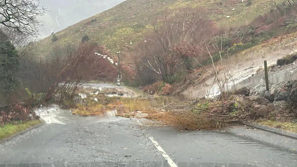 Trees, mud and water on a road after a landslide