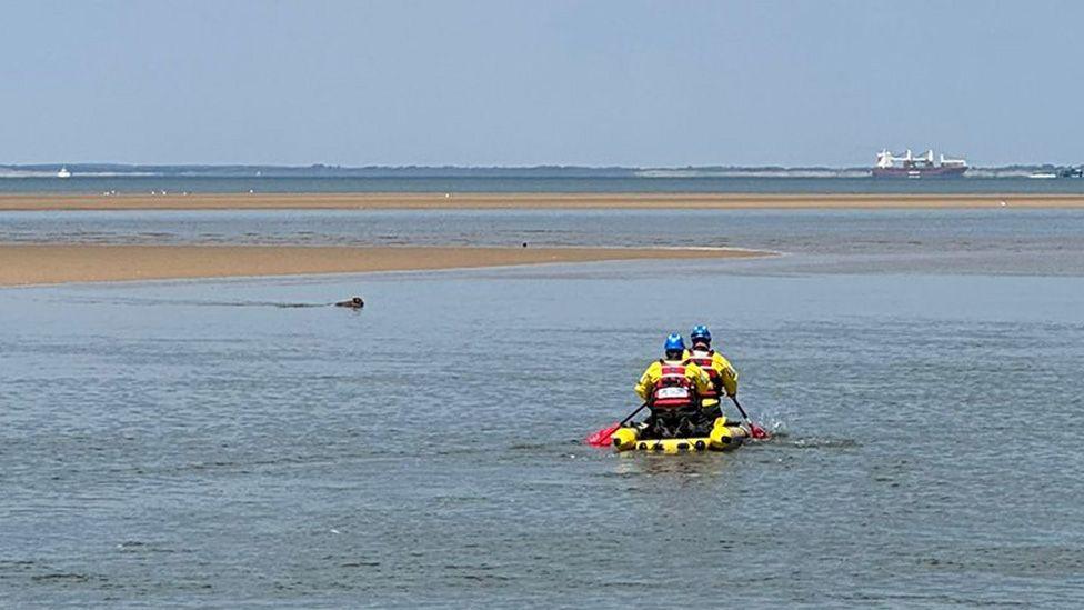 Two men dressed in yellow and black waterproof clothing and blue helmets are rowing a small inflatable yellow craft towards a dog that it is in the water near to a sandbank. A large ship can be seen in the distance.