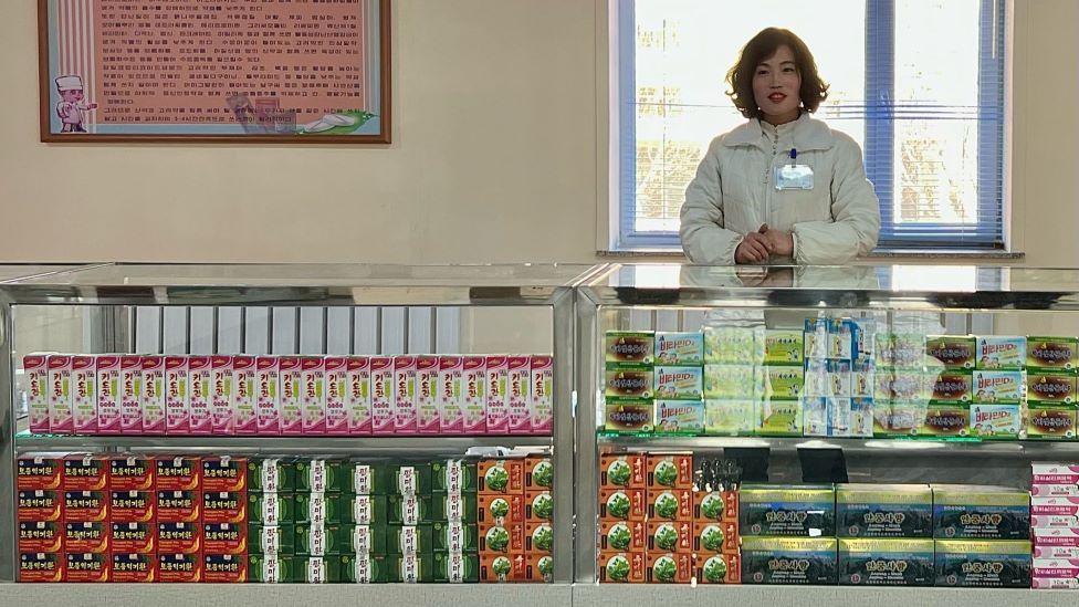 A photo of a pharmacy. A woman stands behind a counter neatly stocked with colourful boxes of pharmacy products. Behind her there is a cream-coloured wall with a colourful poster and a window