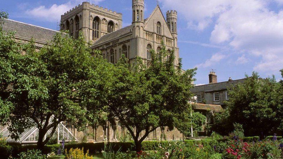 Stone cathedral with trees in the foreground