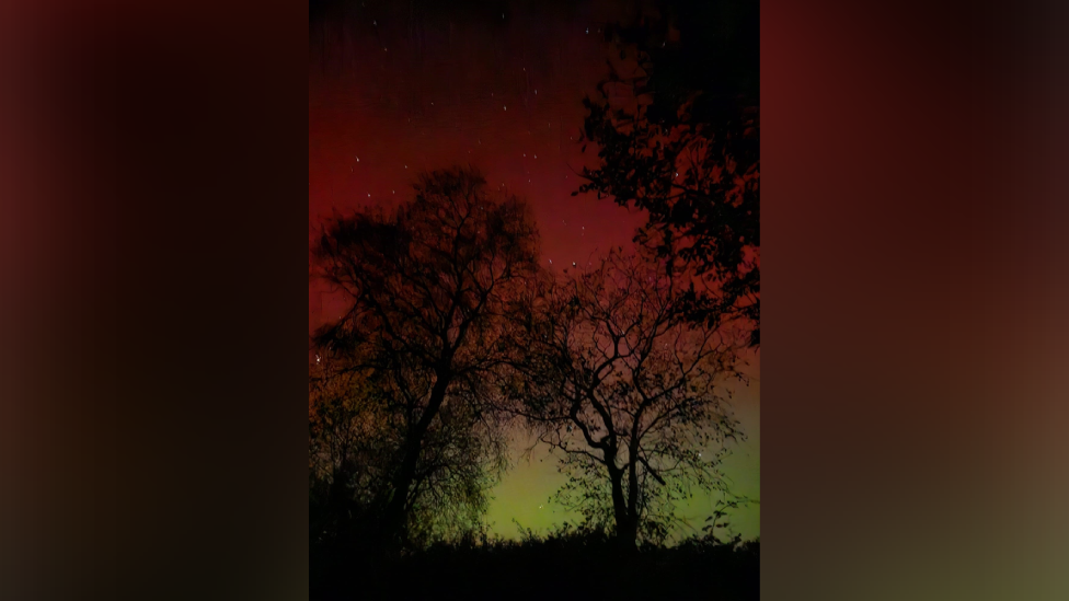 A dark red and light green sky with shadowy trees in the foreground.