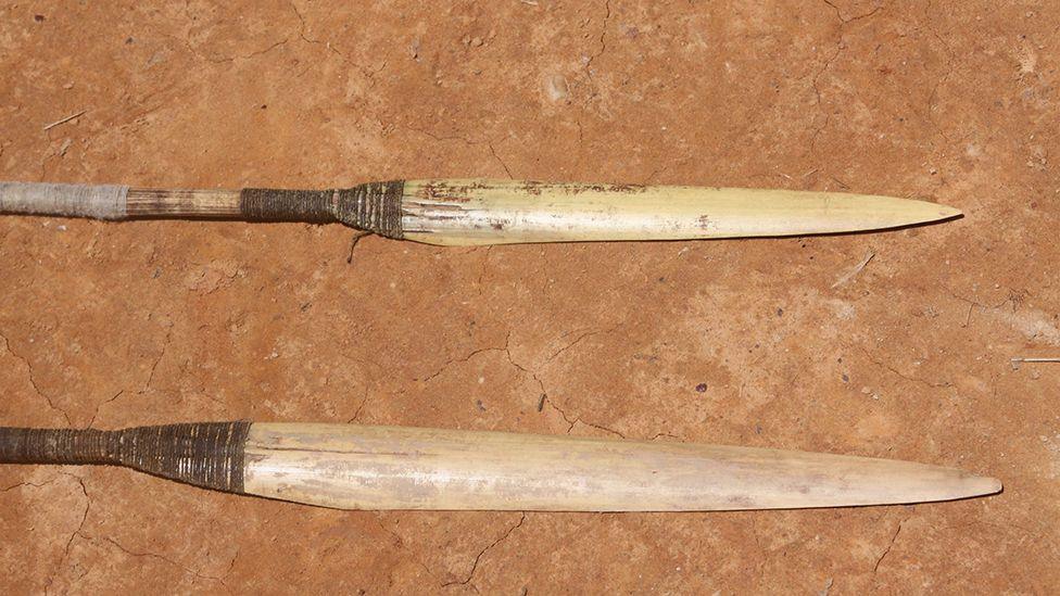 The ends of two long wooden spears with pointed ends against a reddish, dry, clay soil.