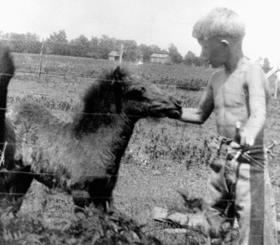 Jimmy Carter as a boy petting a colt in a field. Georgia, ca. 1920s.