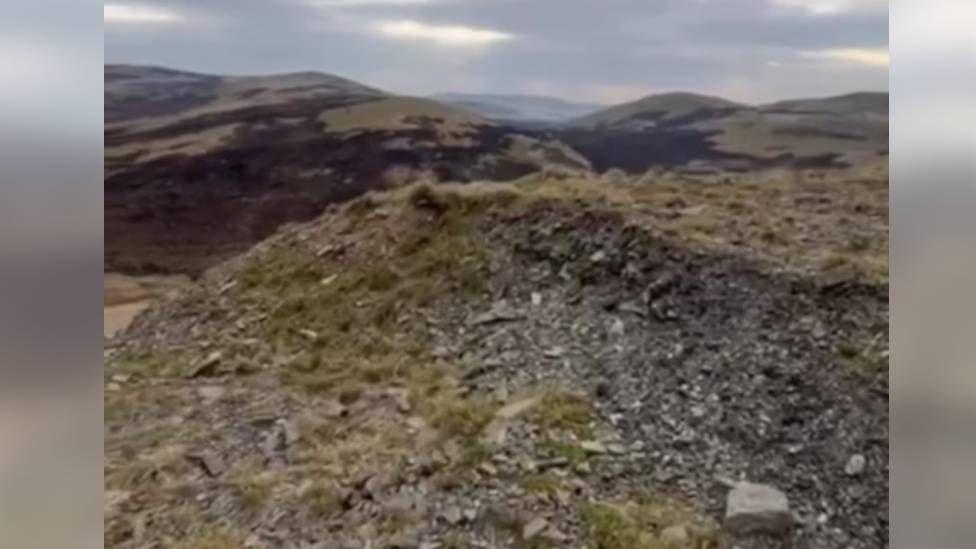 Gorse and land scorched by fire