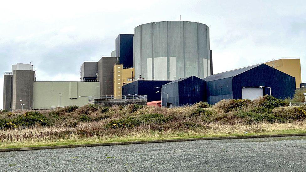 The Wylfa site, taken from a road with part of the tarmac visible as well as hedges and grass.