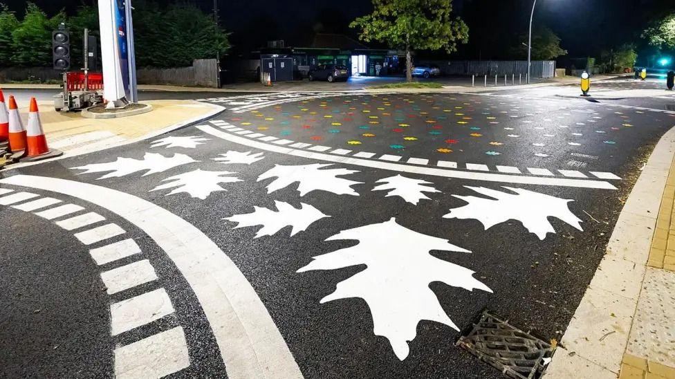 A pedestrian crossing painted with large leaves instead of standard white stripes. The sky is dark