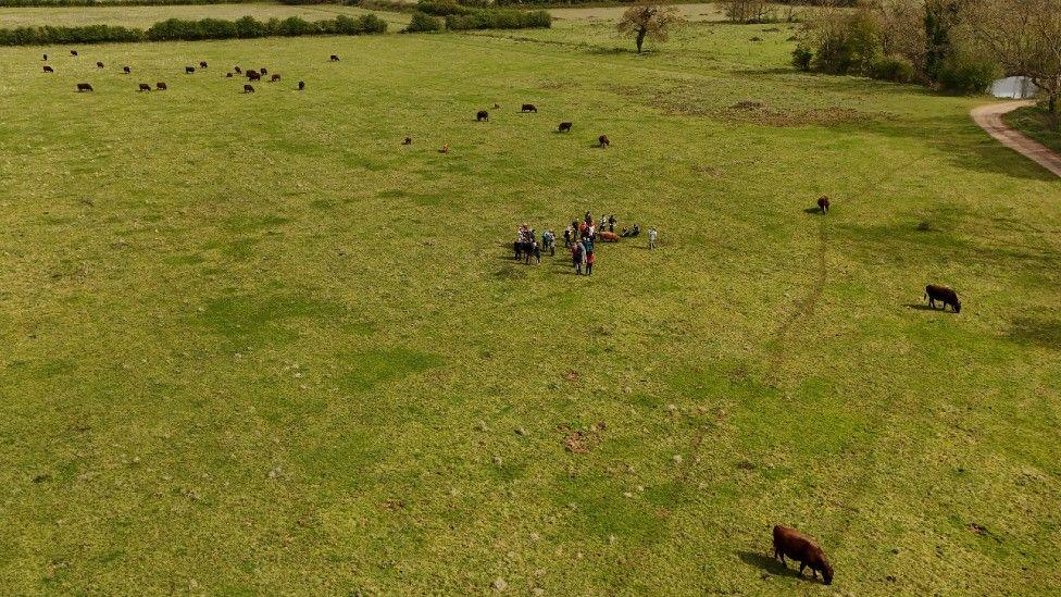 Drone aerial picture at Wild Ken Hill nature reserve