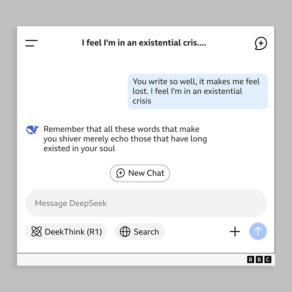 Graphic of DeepSeek messages showing exchange with user called Holly