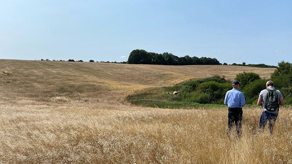 Site of the proposed forest at Hagworthingham. Two people stand with their back to the camera in the foreground in front of a small slope which is covered in yellow grass