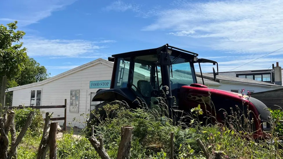 A red tractor outside a wooden-slatted shop called Food Stop. The tractor is behind cut off tree stumps and overgrown grass.