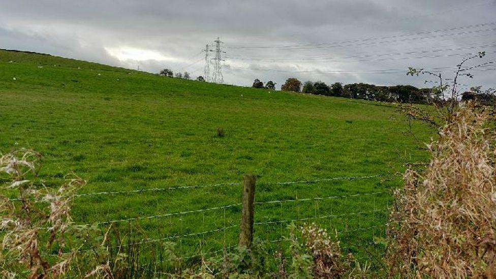 The proposed plot of land - a large green field sloping down to the left, there are trees in the distance to the right and two electricity pylons to the left of them. In the foreground is a wire fence and  few scraggly plants