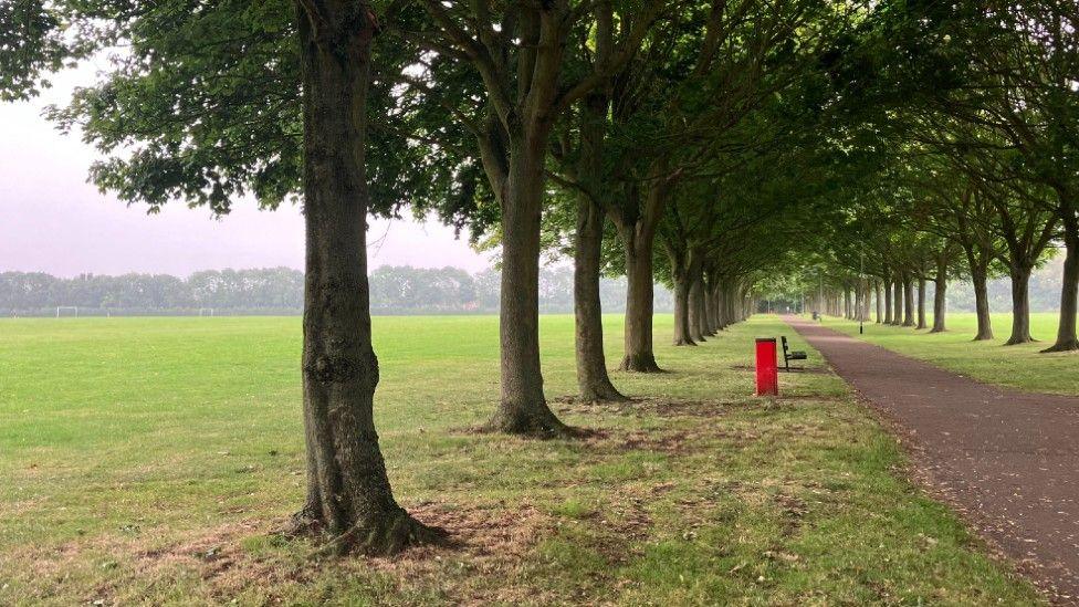 A playing field that has been separated by a footpath. On either side of the footpath is a line of trees, a bench, a dog waste bin and lampposts.