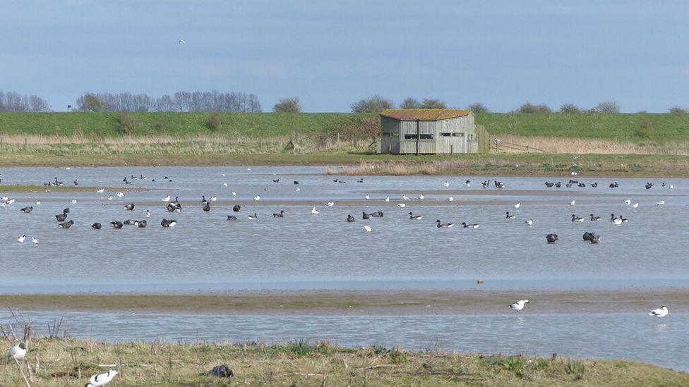 View over Frampton Marsh