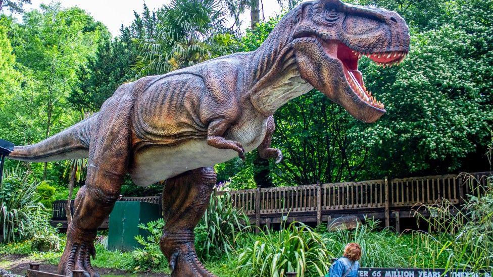A plastic dinosaur figure is displayed amidst green trees at Wookey Hole in Somerset. A woman is looking up at the statue, which is much taller than her.